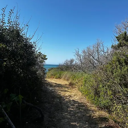 Holiday home Beachstudio Monolocale Fronte Mare A Rosamarina